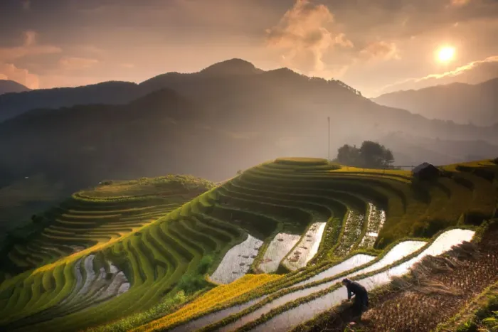 Framed Print : Rice fields on terraced of Mu Cang Chai Framed Print : Rice fields on terraced of Mu Cang Chai