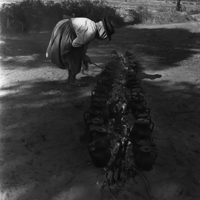 Framed Print : Rice Harvest Framed Print : Rice Harvest