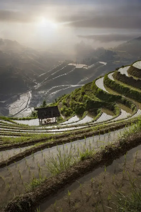 Framed Print : Rice paddy hills in remote landscape Framed Print : Rice paddy hills in remote landscape