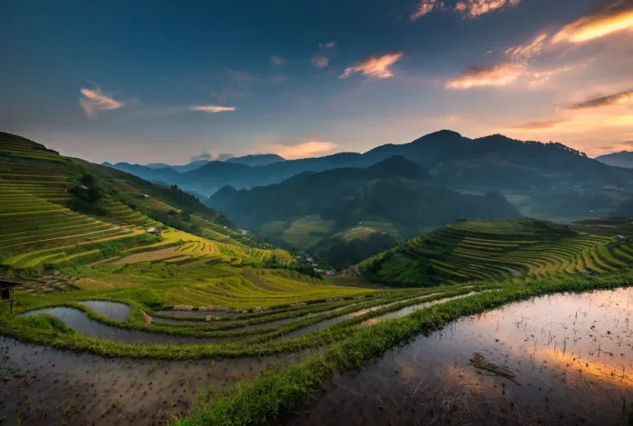Framed Print : Rice terrace Framed Print : Rice terrace