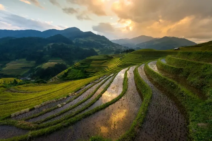 Framed Print : Rice terrace of Mu Cang Chai Framed Print : Rice terrace of Mu Cang Chai