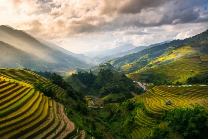 Framed Print : Rice terrace of Mu Cang Chai Framed Print : Rice terrace of Mu Cang Chai