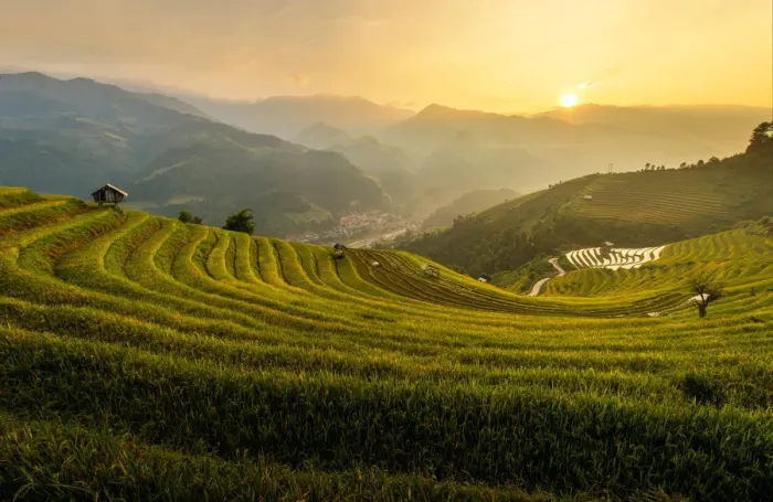 Framed Print : Rice terrace of Mu Cang Chai Framed Print : Rice terrace of Mu Cang Chai
