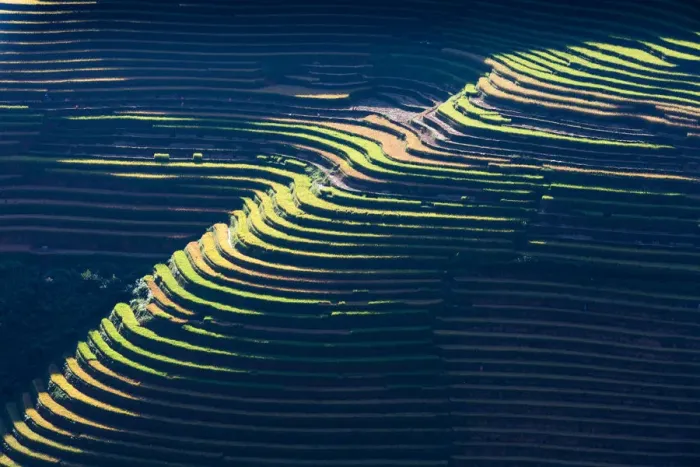 Framed Print : Rice terrace paddies in North Vietnam Framed Print : Rice terrace paddies in North Vietnam