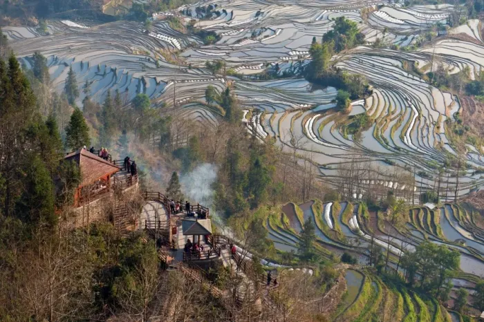 Framed Print : Rice terrace in Yuanyang Framed Print : Rice terrace in Yuanyang
