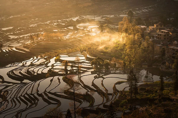 Rice terrace in Yuanyang County