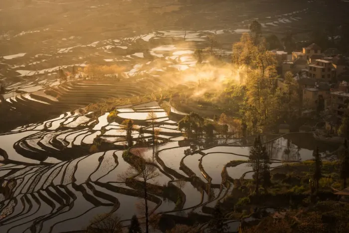 Framed Print : Rice terrace in Yuanyang County Framed Print : Rice terrace in Yuanyang County