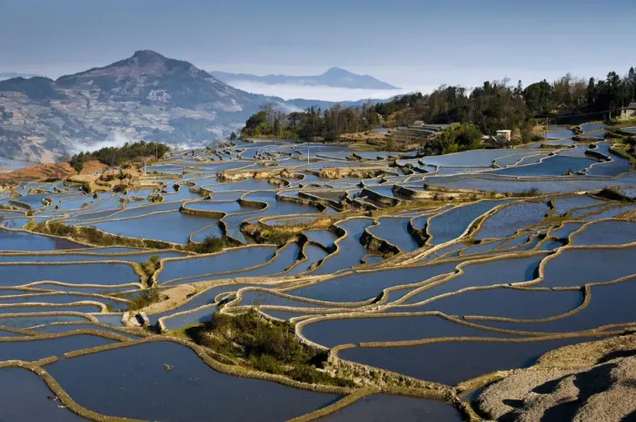 Framed Print : Rice terrace in Yuanyang County Framed Print : Rice terrace in Yuanyang County