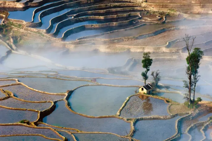 Framed Print : Rice terrace in Yuanyang County Framed Print : Rice terrace in Yuanyang County