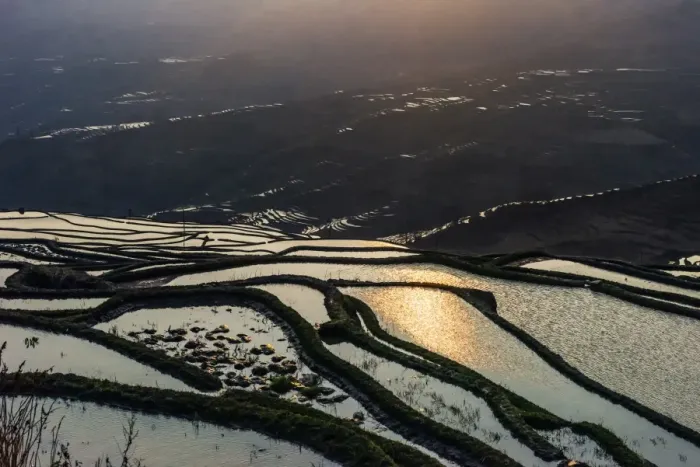Framed Print : Rice terrace at Yuanyang. Yunnan. China