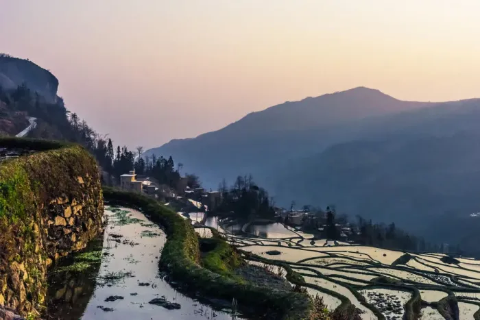 Framed Print : Rice terrace at Yuanyang. Yunnan. China