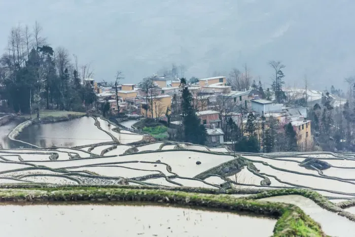 Framed Print : Rice terrace at Yuanyang. Yunnan. China