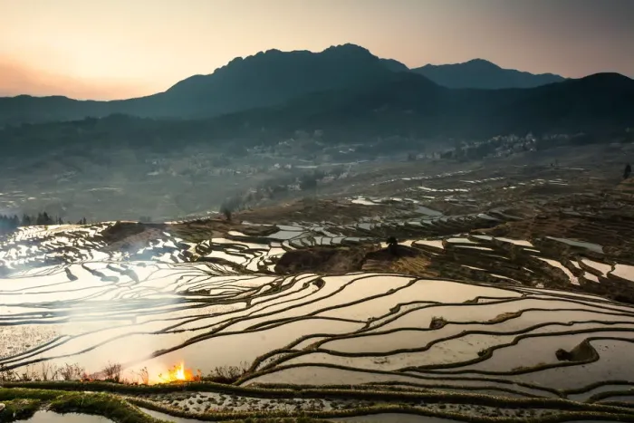 Framed Print : Rice terrace at Yuanyang. Yunnan. China Framed Print : Rice terrace at Yuanyang. Yunnan. China