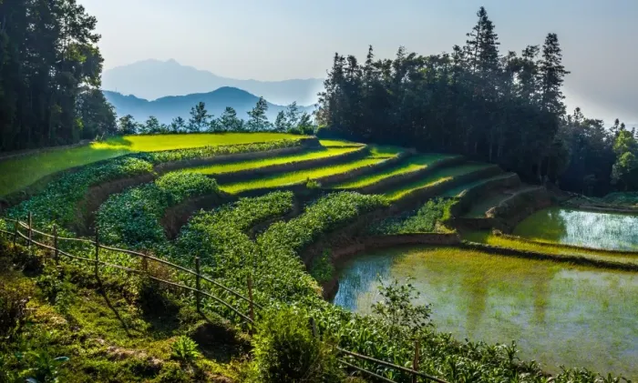 Framed Print : Rice terrace in Yunnan, China Framed Print : Rice terrace in Yunnan, China
