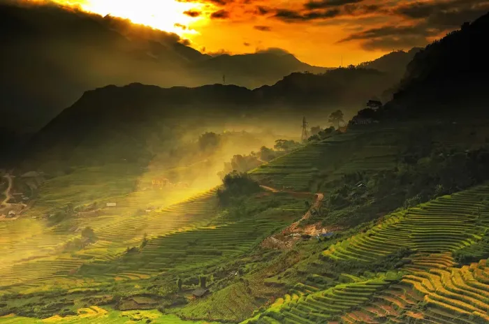 Framed Print : Rice terraces Framed Print : Rice terraces