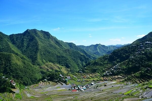 Rice terraces Batad Philippines