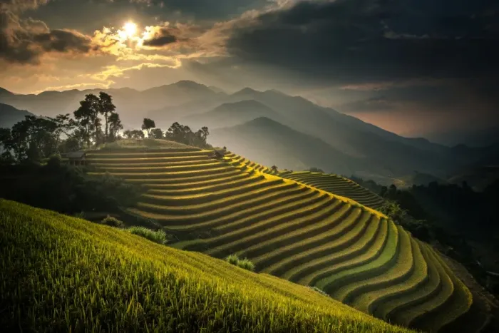 Framed Print : Rice terraces in Mu Cang Chai, North Vietnam Framed Print : Rice terraces in Mu Cang Chai, North Vietnam