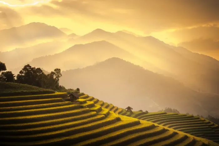 Framed Print : Rice terraces in Mu Cang Chai, North Vietnam Framed Print : Rice terraces in Mu Cang Chai, North Vietnam