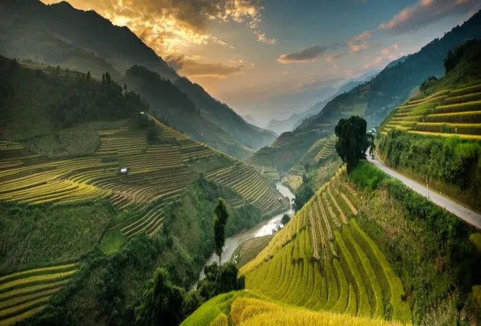 Framed Print : Rice terraces in Mu Cang Chai, North Vietnam Framed Print : Rice terraces in Mu Cang Chai, North Vietnam