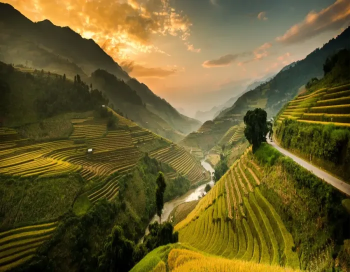 Framed Print : Rice terraces in Mu Cang Chai, North Vietnam Framed Print : Rice terraces in Mu Cang Chai, North Vietnam
