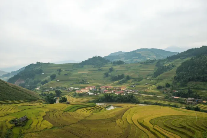 Framed Print : Rice terraces in Mu Cang Chai, North Vietnam Framed Print : Rice terraces in Mu Cang Chai, North Vietnam