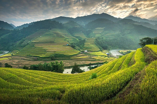 Rice terraces at Mu Cang Chai, Vietnam