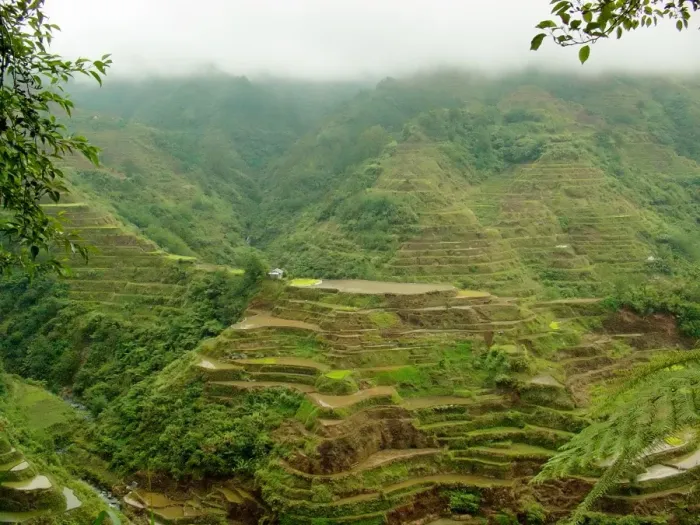 Framed Print : Rice terraces outside Banaue Framed Print : Rice terraces outside Banaue
