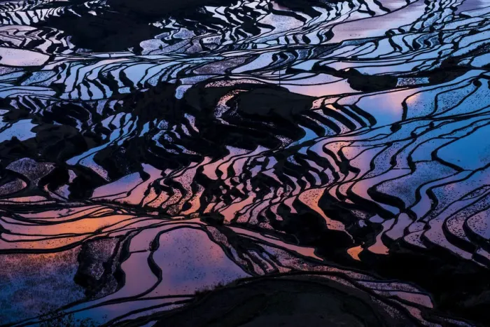 Framed Print : Rice Terraces, Yuanyang, China