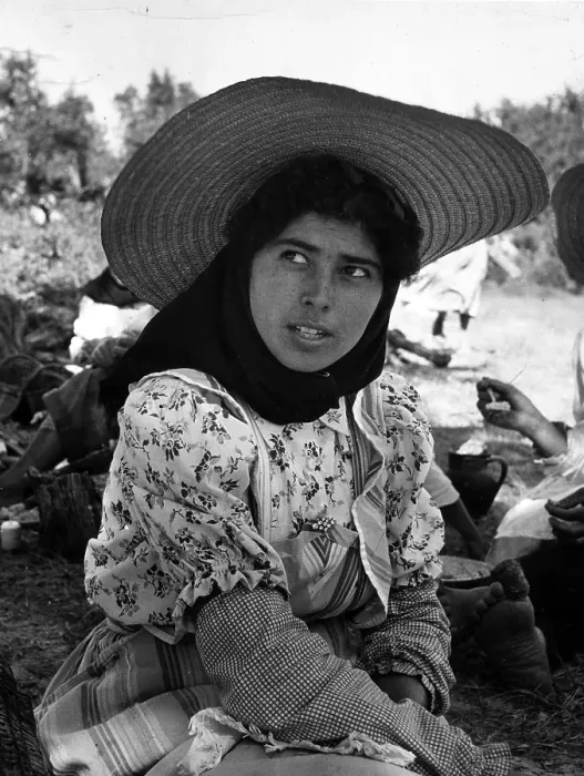 Framed Print : Rice Worker Framed Print : Rice Worker