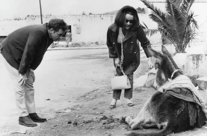 Framed Print : Richard Burton And Elizabeth Taylor Befriend A Burro Framed Print : Richard Burton And Elizabeth Taylor Befriend A Burro