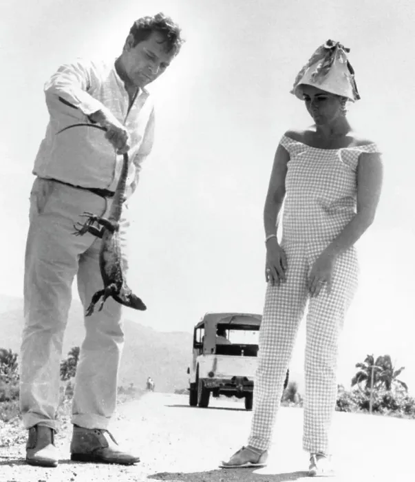 Framed Print : Richard Burton Picks Up An Iguana As Elizabeth Taylor Looks On Framed Print : Richard Burton Picks Up An Iguana As Elizabeth Taylor Looks On