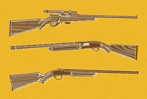 Rifles and Shotgun