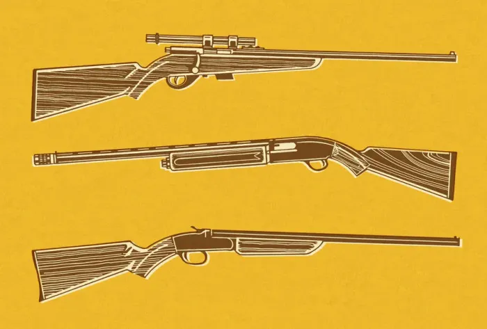Framed Print : Rifles and Shotgun Framed Print : Rifles and Shotgun
