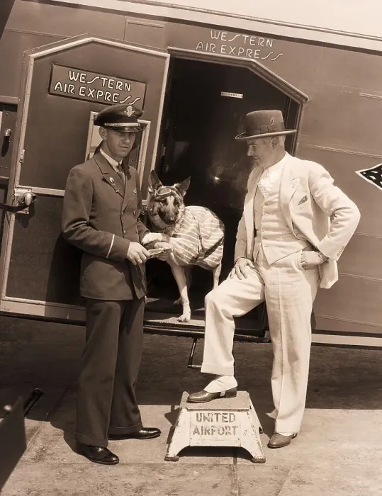 Framed Print : Rin Tin Tin at Airport with Master Framed Print : Rin Tin Tin at Airport with Master