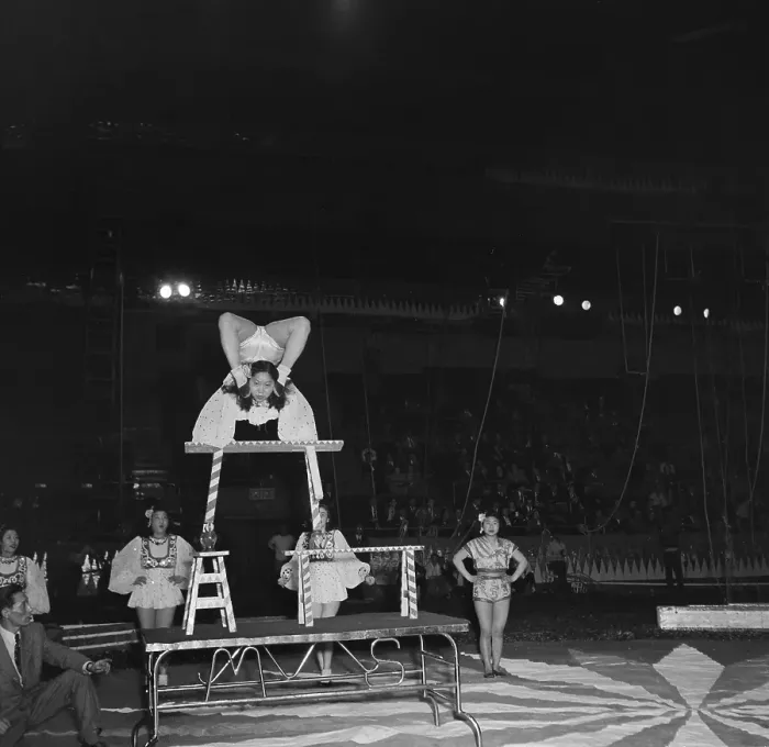 Framed Print : Ringling Bros. and Barnum & Bailey Circus Framed Print : Ringling Bros. and Barnum & Bailey Circus
