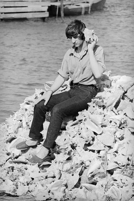 Framed Print : Ringo Starr Listening to a Conch Shell