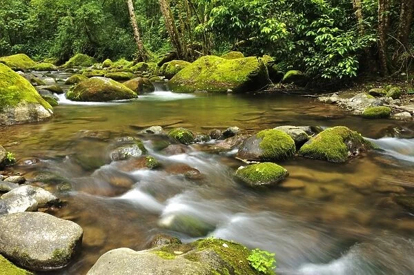 Rio Savegre, San Gerardo de Dota, Costa Rica, Central America