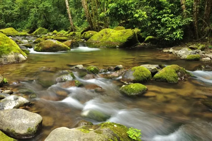 Framed Print : Rio Savegre, San Gerardo de Dota, Costa Rica, Central America Framed Print : Rio Savegre, San Gerardo de Dota, Costa Rica, Central America