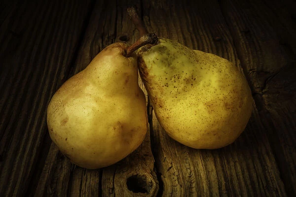 Two Ripe Pears Still Life