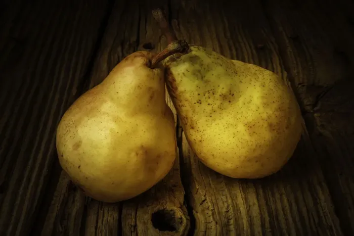 Framed Print : Two Ripe Pears Still Life Framed Print : Two Ripe Pears Still Life