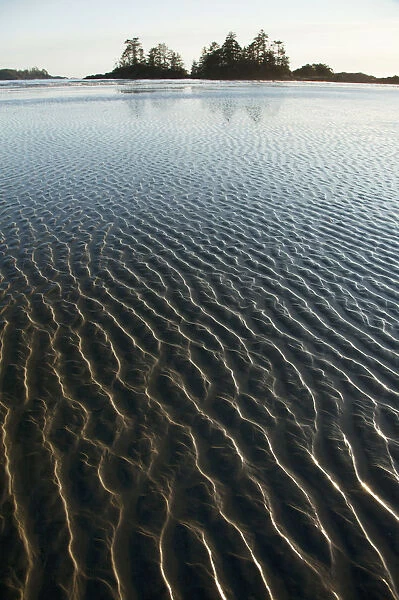 Ripples Form In The Sand At Chestermans Beach And Frank Island Near Tofino