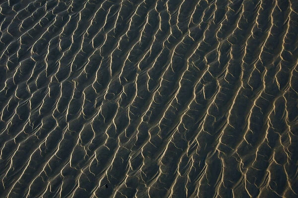 Ripples Form In The Sand At Chestermans Beach And Frank Island Near Tofino