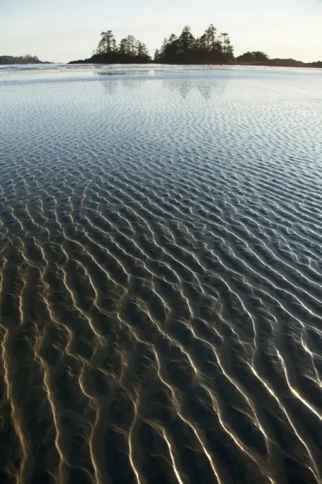 Framed Print : Ripples Form In The Sand At Chestermans Beach And Frank Island Near Tofino Framed Print : Ripples Form In The Sand At Chestermans Beach And Frank Island Near Tofino