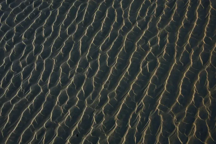 Framed Print : Ripples Form In The Sand At Chestermans Beach And Frank Island Near Tofino; British Columbia Canada