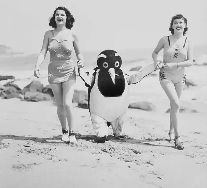 Framed Print : Rita Hayworth and Patricia Farr Strolling with Penguin Framed Print : Rita Hayworth and Patricia Farr Strolling with Penguin