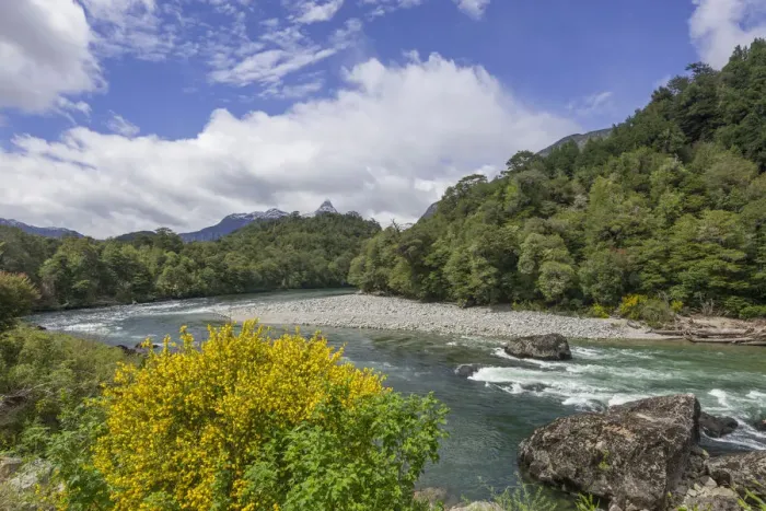 Framed Print : River and flowering gorse, Carretera Austral, Cisnes, Aysen Province, Chile Framed Print : River and flowering gorse, Carretera Austral, Cisnes, Aysen Province, Chile