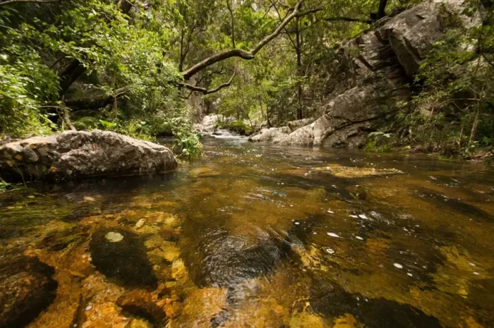 Framed Print : River in forest, Baviaans Kloof, Eastern Cape Province, South Africa Framed Print : River in forest, Baviaans Kloof, Eastern Cape Province, South Africa