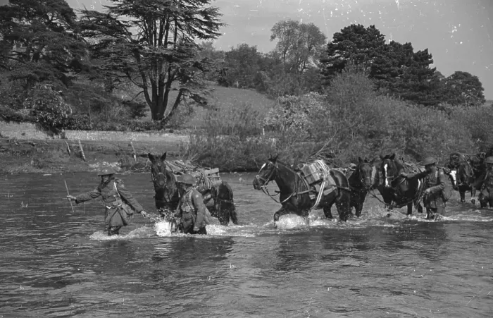 Framed Print : River Horses Framed Print : River Horses