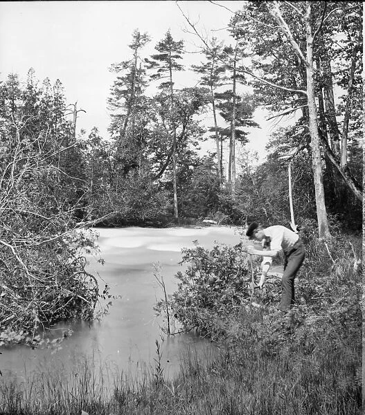 River Man. 1859: A man chopping wood in the Thousand Islands on the St