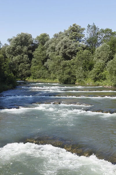 River Mangfall at the Mangfall bend in Grubmuehle, parish of Valley, Mangfalltal, Upper Bavaria, Bavaria, Germany, Europe